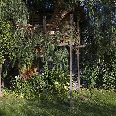 La Casetta Sull'albero 900m From The Sea - Happy * Albenga